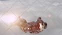 provide 3d and vfx services for films and personal content