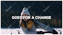 make game changing viral video ads for social media