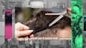 create fashion, a brand promo video for social media