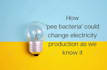 rewrite content manually into plagiarism free article