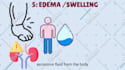 make white board animation or medical explainer videos