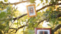 create a magical photo slideshow for your loved ones
