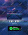 do anything in final cut pro custom fcpx plugins  templates in 24 hours