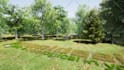 do cinematic eco friendly nature 3d rendering animation intro video from logo
