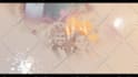 design indian wedding invitation video