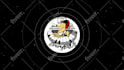 corporative stunning logo animation
