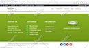build a stunning custom website that elevates your brand
