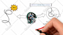 create a whiteboard animation video in 24 hours