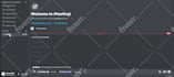 create a professional custom discord bot