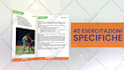 make an amazing full hd video showcasing your book