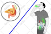 create vector line art video animation or ad videos