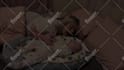 create toddler, baby, mom parent and home ugc video content