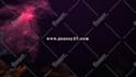 create 1 of 6 neon lights video ad campaigns for your logo