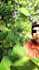 do professional youtube video editing for you