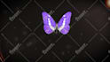 create butterfly logo  intro animation in HD