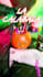 do a professional video edit and motion graphics