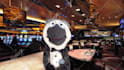 have paulie the penguin crooner create a custom puppet video