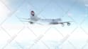 promote your website or logo on a private airplane