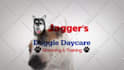 make funny dog licking video with your logo