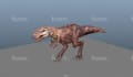 do 3d character model, rigging for animation and games