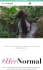 customize and create squarespace website from scratch