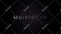 create a perfect custom logo animation