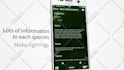 create an engaging mobile app promo video