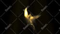 make Phoenix to BURNOUT and reveal your logo in full hd