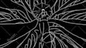 do trippy hand draw animation for your music video animation