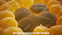 produce a high caliber medical 3d animation