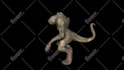 create zackd style animations and complex 3d models
