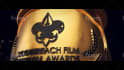 do award logo awesome