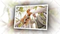 do wedding video editing and cinematic wedding film