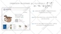 create a presentation for you on canva