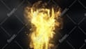 create 3 amazing phoenix fire logo animation intro