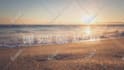 create an animated lyric video for your song