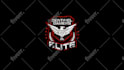 do professional gaming intro outro or logo animation