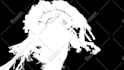 provide professional rotoscoping, vfx, and keying