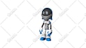 rig or animate your character