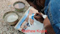 draw landscape drawing with watercolor illustration