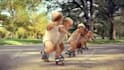 put your text in this awesome kids dancing animation video