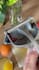 create ugc tiktok or reels user generated content in german