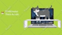 create you an animated sales or explainer video
