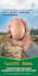 do flyer animation, motion flyer, and motion poster