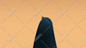 create awesome 2d animated video