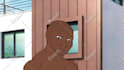 create cartoon internet memes style animation