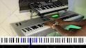 play piano and keyboard covers for any song