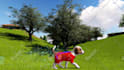 do storytelling 3d animation like fern and zackdfilms