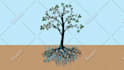 do animation and graphic design