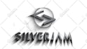 create amazing silver or bronze intro logo animation in 3d